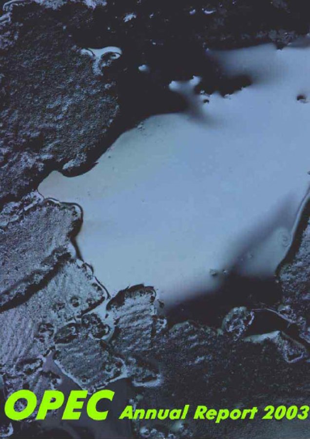 Annual Report 2003
