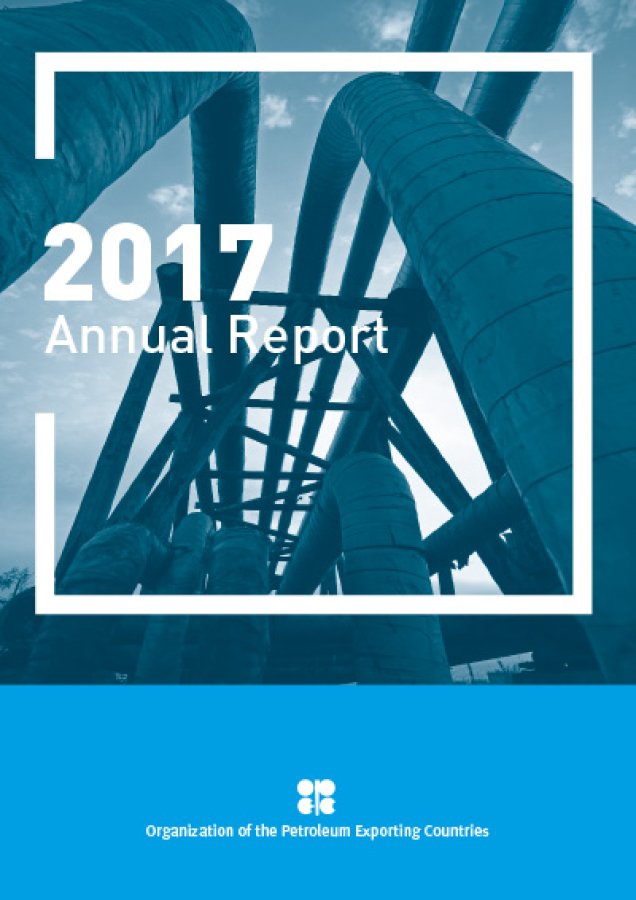 Annual Report 2017