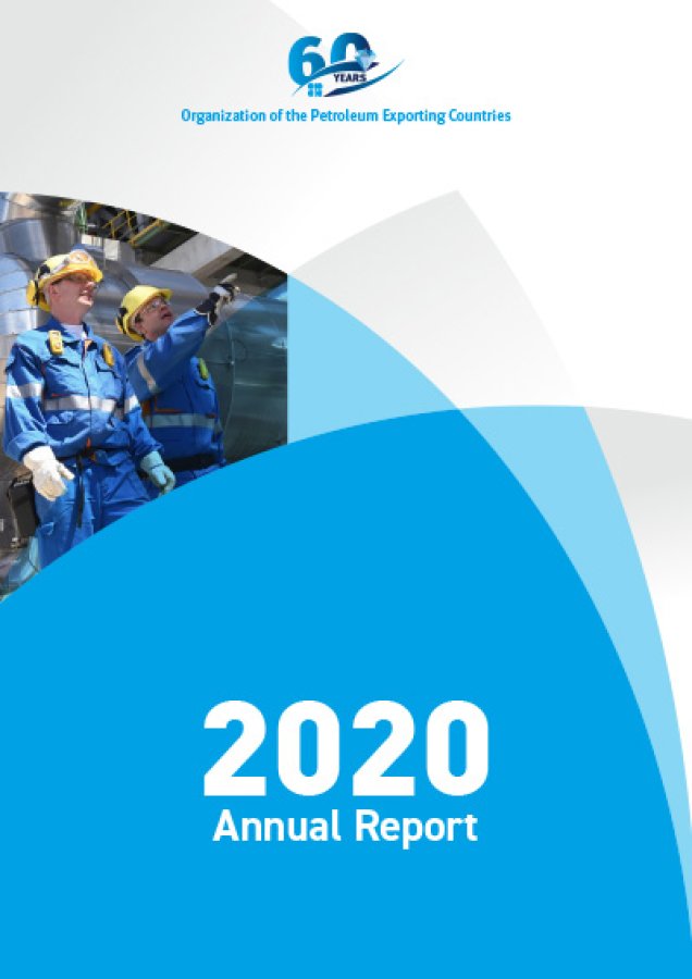 Annual Report 2020